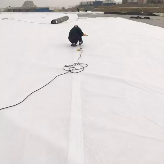 Precio 200g 300g por M2 Filamento Pet PP Geotextil no tejido no tejido Geo textil