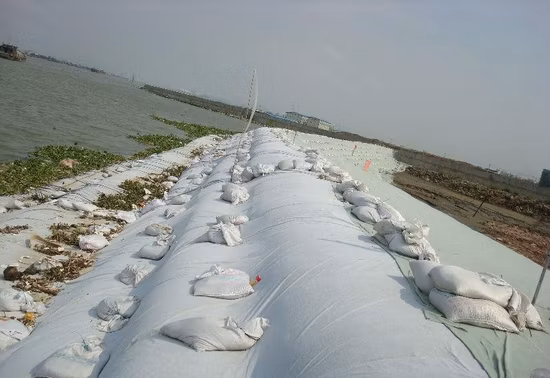 Filamento de polipropileno PP no tejido/fibra discontinua de poliéster para mascotas no tejido/tejido/corto